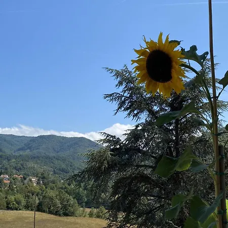 La Casa Di Beppin *